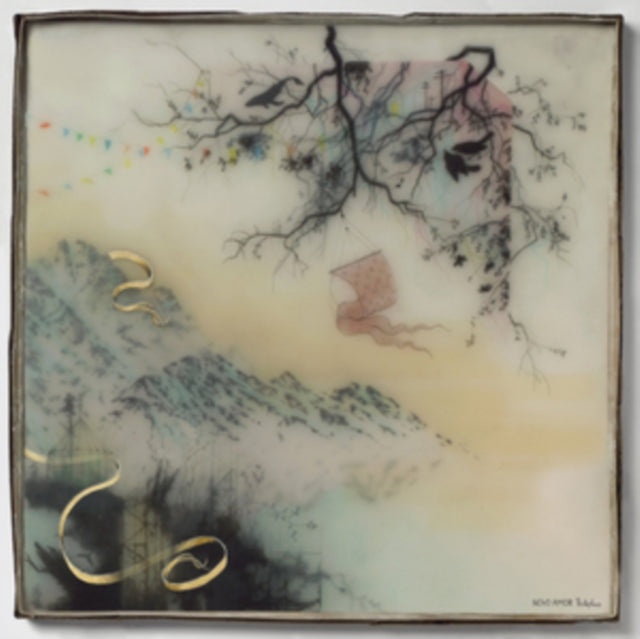 Novo Amor - Birthplace - LP Vinyl