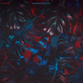 Laneous - Monstera Deliciosa - LP Vinyl