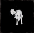 Kveikur (2LP)