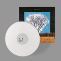 Fink - Bloom Innocent - LP Vinyl
