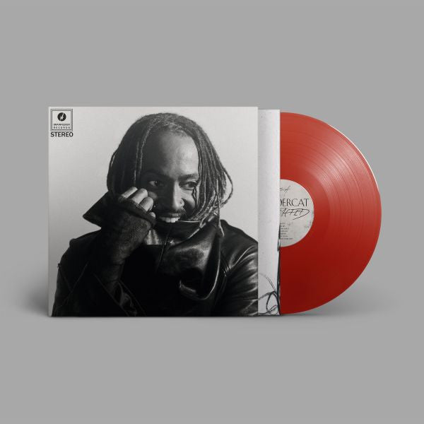Distracted (Red Vinyl) Vinyl Record