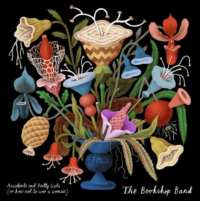 Bookshop Band - That Ghost Belongs To Me & Curious & Curiouser & Before I Crack & Accidents & Pretty Girls & When We’Re Young - CD Bundle