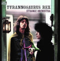 Strange Orchestra (2LP)
