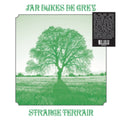 Strange Terrain Vinyl Record