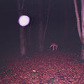 Buzzard Buzzard Buzzard - Skinwalker - LP Vinyl