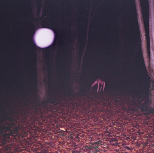Buzzard Buzzard Buzzard - Skinwalker - LP Vinyl