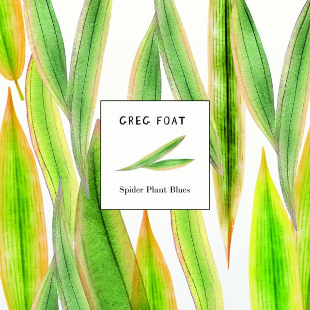 Greg Foat - Spider Plant Blues - 7 Inch Vinyl