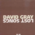 Gray,david - Lost Songs 95-98 - Music CD