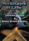 Shape Of Life 4: Ultimate Animal & Bones - Shape Of Life 4: Ultimate Animal & Bones - DVD