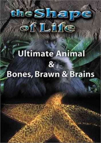 Shape Of Life 4: Ultimate Animal & Bones - Shape Of Life 4: Ultimate Animal & Bones - DVD