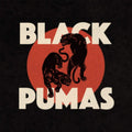 Black Pumas - Black Pumas - LP Vinyl Record