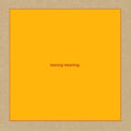 Leaving Meaning
