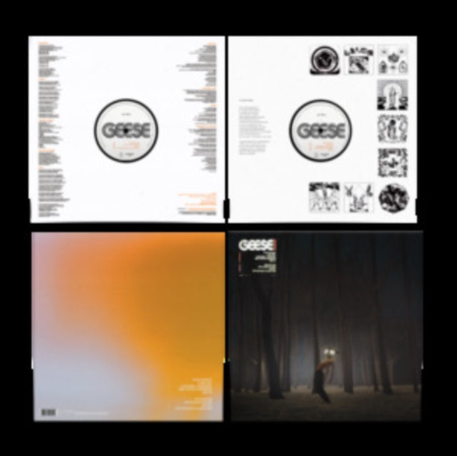 Projector & 3D Country (Crystal Clear LP Vinyl)
