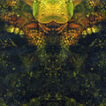 House Of Low Culture - Edward's Lament - Music CD