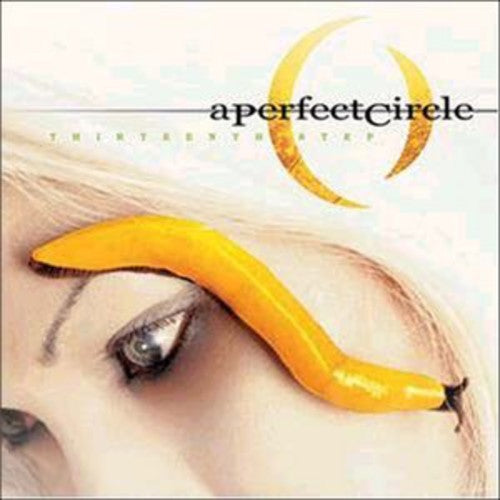 Perfect Circle - Thirteenth Step - Vinyl Record