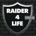 Slow Pain - Raider 4 Life - Music CD