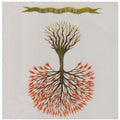 Lungfish - Love Is Love - Music CD