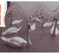 Zoltan Lantos Mirrorworld - Tiptoe Ceremony - Music CD