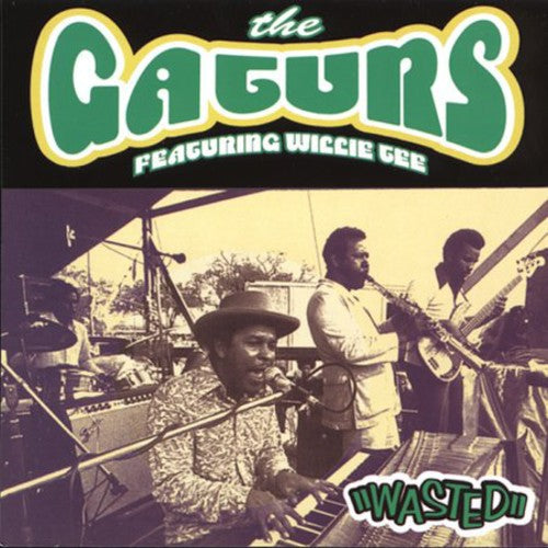 Pre-Order: The Gaturs - Wasted Music CD