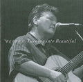 Ferron - Turning Into Beautiful - Music CD