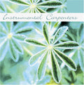 Instrumental Carpenters / Various - Instrumental Carpenters / Various - Music CD