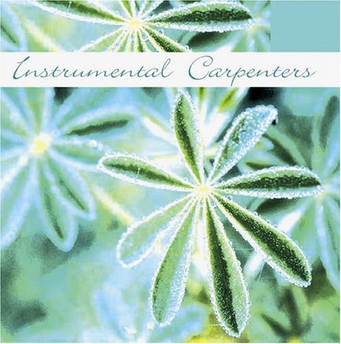 Instrumental Carpenters / Various - Instrumental Carpenters / Various - Music CD