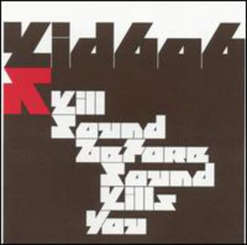 Kid606 - Kill Sound Before Sound Kills You - Vinyl Record