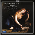 Fasch / Mertens / Das Kleine Konzert / Max,hermann - Cantatas - Music CD