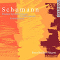 Schumann / Bradley-fulgoni - Etudes Symphonies - Music CD