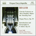 Reger / Still - Organ Works 4 - Music CD