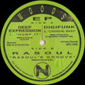 Deep Expression Digifunk Rasoul - Moods - Vinyl Record