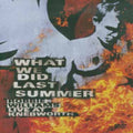 Williams,robbie - What We Did Last Summer - DVD