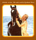Heinz,gerhard - Melodies In Love: Erotic World Of Gerhard Heinz - Music CD