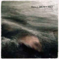 Small Brown Bike - River Bed - Vinyl Record