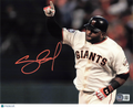 Pablo Sandoval San Francisco Giants Signed 8x10 Photo BAS