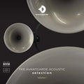 Pre-Order: Avantgarde Acoustic Selection Vol. 1 / Various [LP] Vinyl Record
