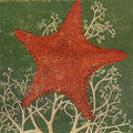 Blithe Sons - Arm Of The Starfish - Music CD