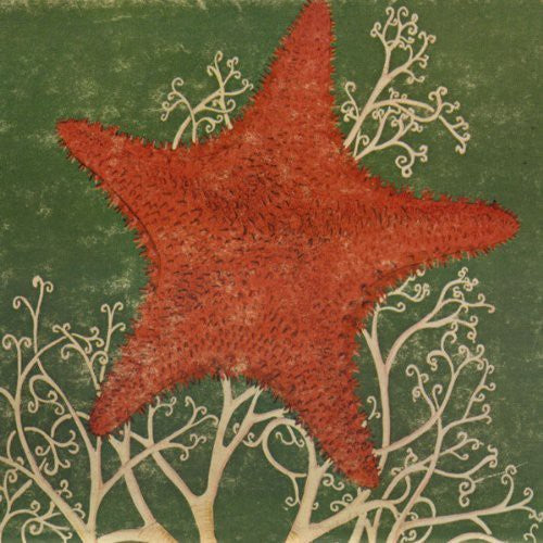 Blithe Sons - Arm Of The Starfish - Music CD