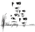 Without Gravity - Tenderfoot - Music CD