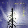 Schwarz,gerard / Stock / Seattle Symphony Orch - American Accents - Music CD