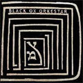 Black Ox Orkestar - Ver Tanzt - Vinyl Record