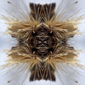 Sutra (2LP)