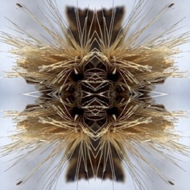 Sutra (2LP)