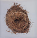 Wilco - A Ghost Is Born - Vinyl Record