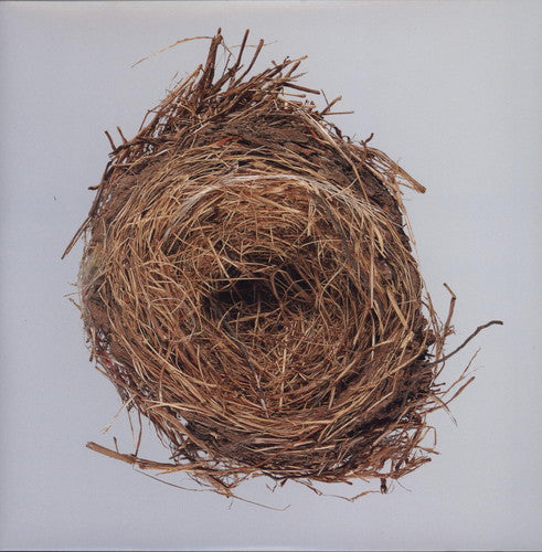 Wilco - A Ghost Is Born - Vinyl Record