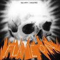 Chicks On Speed / Vainio,mika - Flame On - Vinyl Record