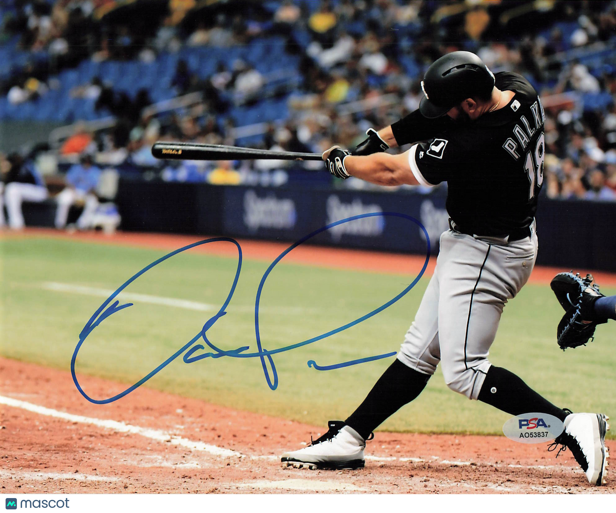 Daniel Palka Chicago White Sox Signed 8x10 Photo PSA