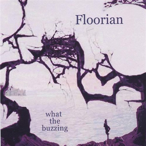 Floorian - What The Buzzing - Music CD