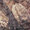 Roach,steve - Early Man - Music CD