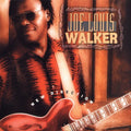 Walker,joe Louis - New Direction - Music CD